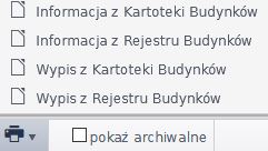 Widok okna z opcjami wydruku raportów po najechaniu kursorem na ikonę drukarki